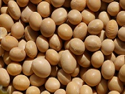 大豆実2