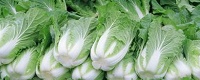 白菜